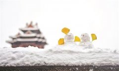 北京45年來(lái)同期最冷天氣伴雪而至（組圖）-榮軒